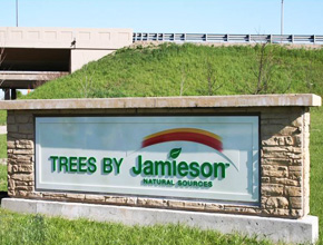 Trees By Jamieson Exterior Dimensional Signage Design Fabrication and Install